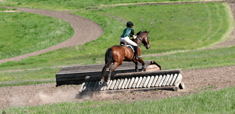 Cavalier de cce