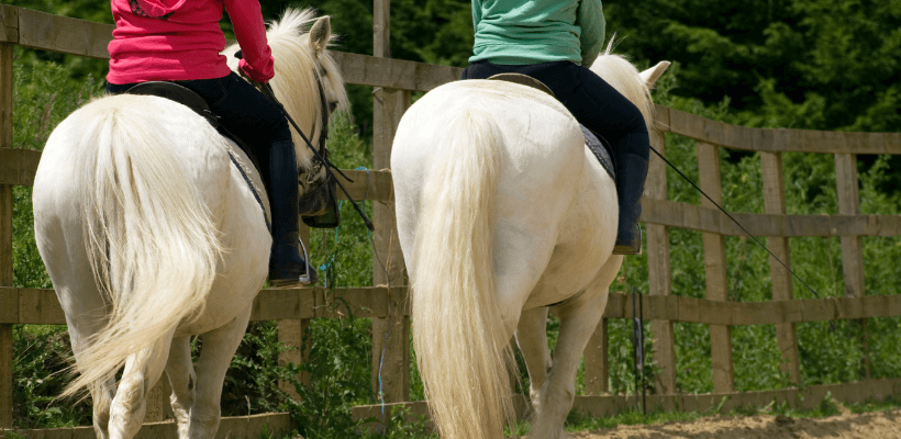 Deux cavaliers prennent un cours d'équitation
