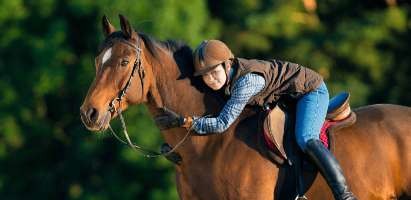 cheval au debourrage