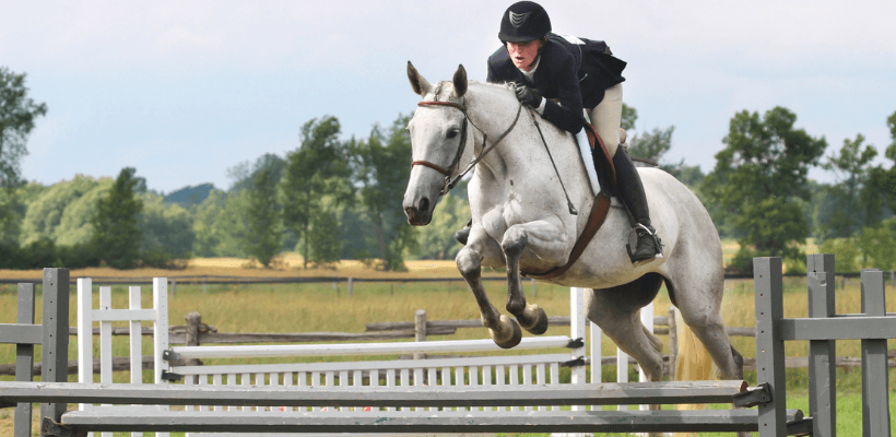 Cavalier de hunter