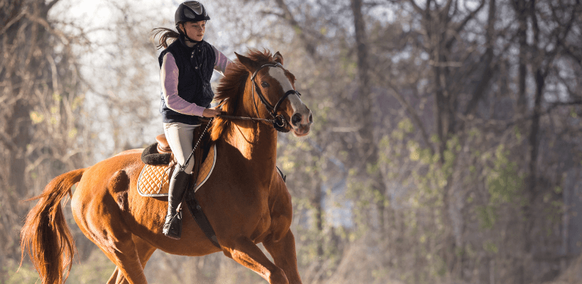 initiation à l'équitation