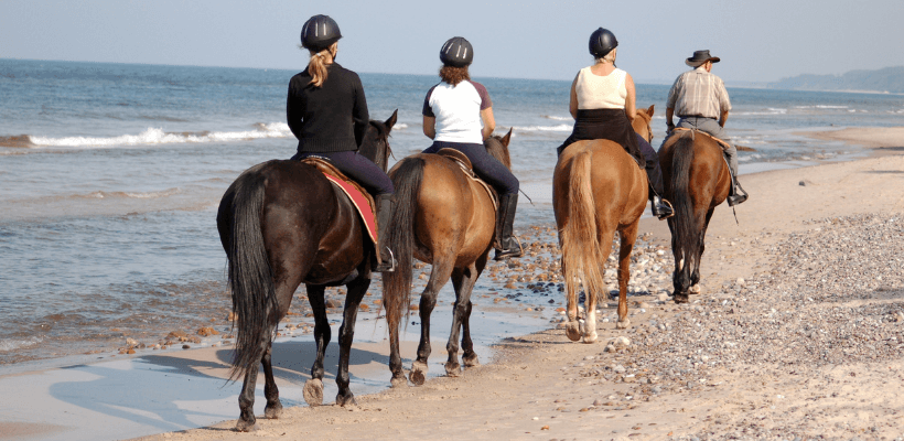 niveau equitation de plusieurs cavaliers