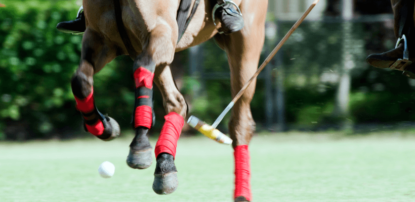 Cavaliers de polo