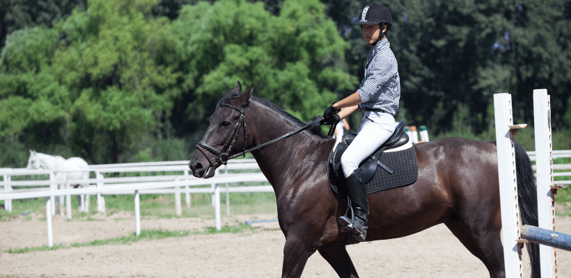 Cavalier qui prend un cours d'équitation pour progresser