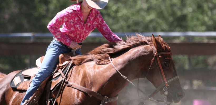 Cavalier d'équitation western