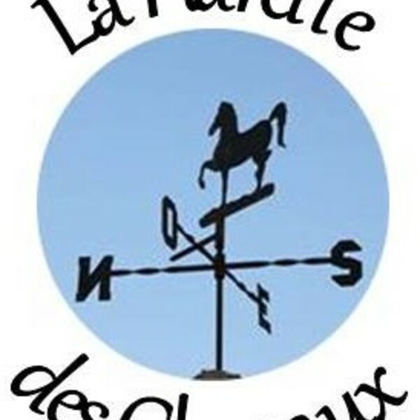 Logo lhdc bleu