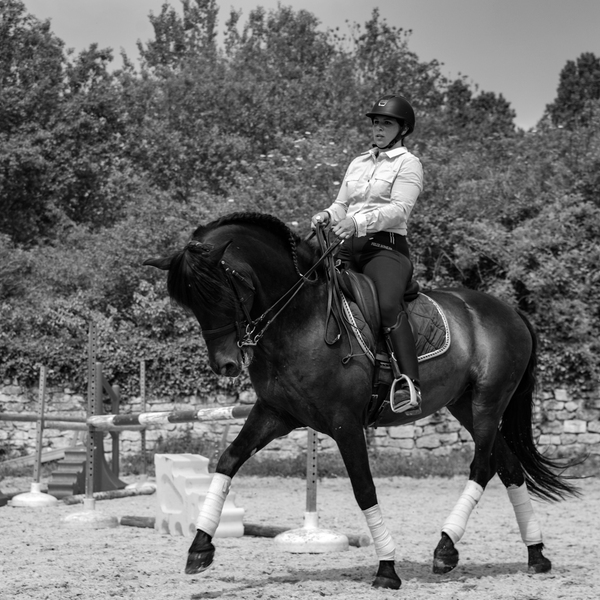 Cours particuliers equitation yvelines
