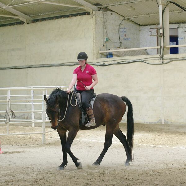 Cours particuliers equitation nord